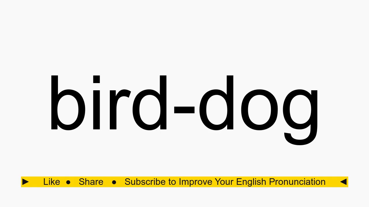 How to pronounce bird-dog - YouTube