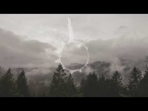 OSVISS - The Whistle