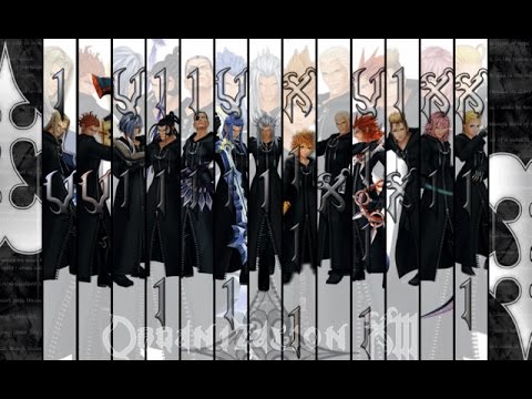 Kingdom Hearts 2 5 Organization Xiii All Data Critical No Damage 13機関リミカ Youtube