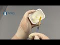 Transparent Lip Filler Injection Mannikin