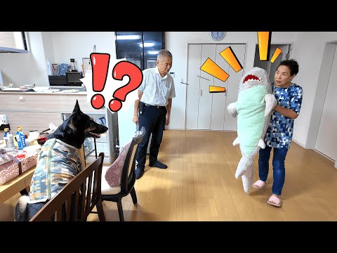 お気に入りのぬいぐるみを修理したら、愛犬の反応が意外すぎて爆笑しましたw