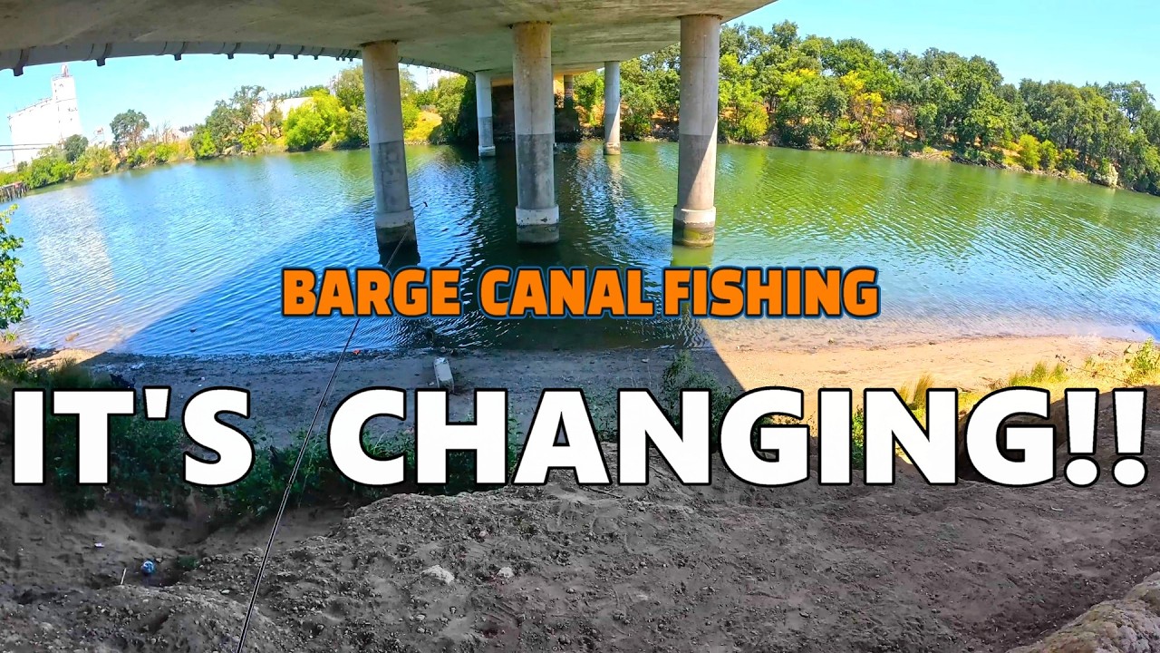 I Caught a Fish Changing Colors on Camera!