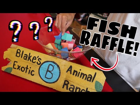 *WIN* EXOTIC FISH RAFFLE CHALLENGE!! - YouTube