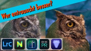 Wer entrauscht am besten? || Praxis-Vergleich: Lightroom, Topaz, DxO, ON1, Luminar Neo