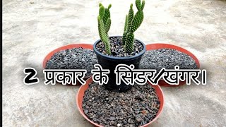 NATURAL OR COAL ,WHICH CINDER / KHANGAR  IS BEST FOR PLANT. कौन सा सिंडर/खंगर इस्तेमाल करे | screenshot 5