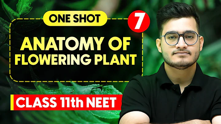 ANATOMY OF FLOWERING PLANTS - Complete Chapter in One Video || Concepts+PYQs || Class 11th NEET