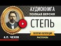 СТЕПЬ ЧЕХОВ А.П. - аудиокнига, слушать аудиокнига, аудиокниги, онлайн аудиокнига слушать