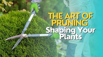 The Art of Pruning: Shaping Your Plants