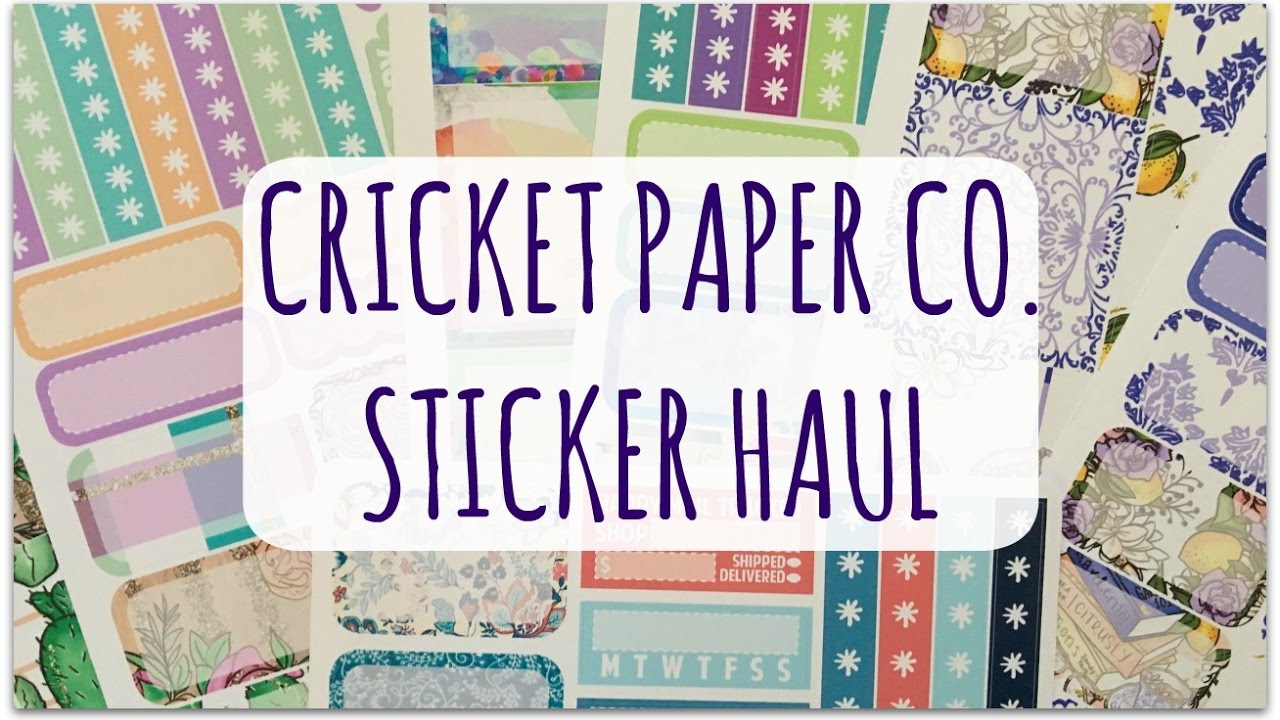PLANNER STICKER HAUL | Cricket Paper Co. #4 | New Vinyl Stickers - YouTube