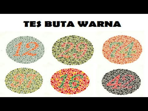 Tes Buta Warna ( Medical Check Up )