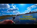Рыбалка в Полоцке | Ловля щуки и окуня на ультралайт | Полоцкое водохранилище
