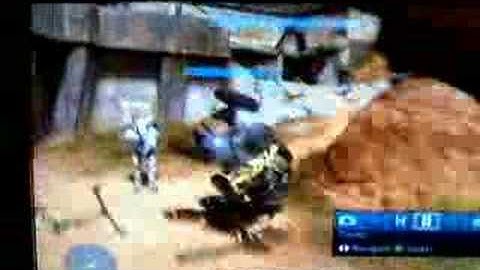 Funny Mongoose Mowdown