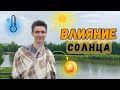 Как солнце влияет на здоровье и энергичность? Почему в холодное время мы едим больше?