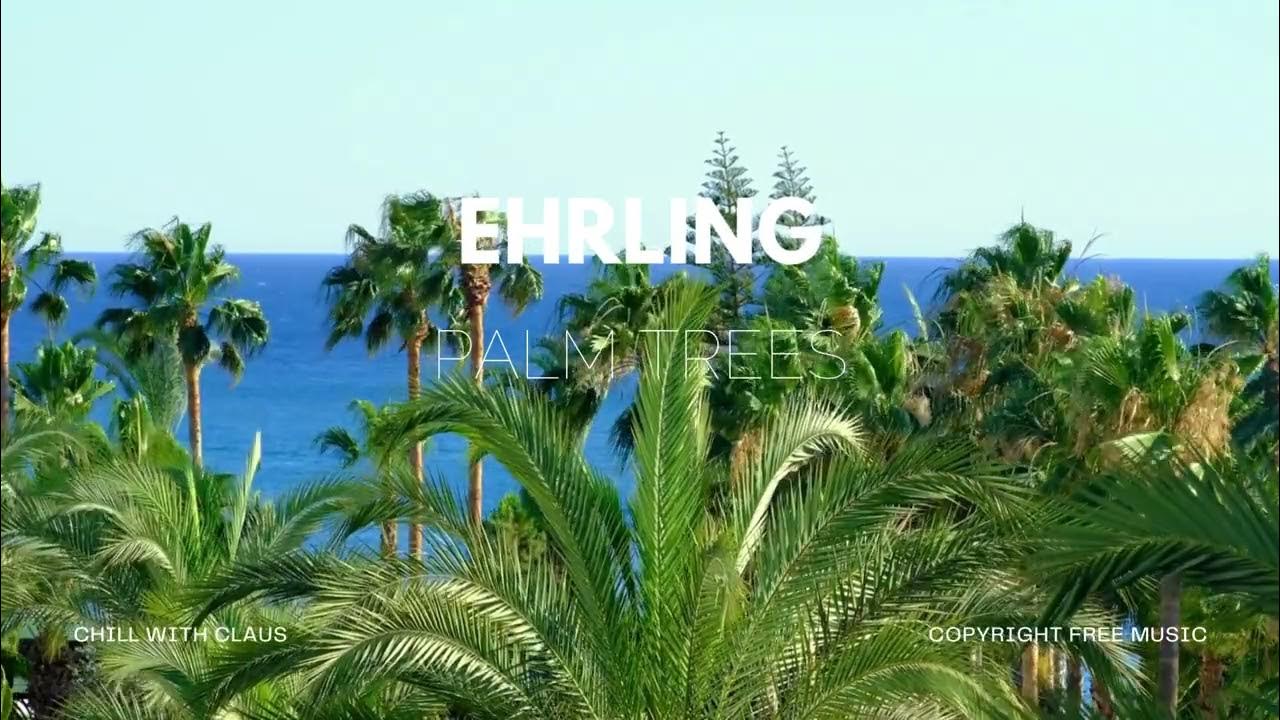 Ehrling Palm Trees YouTube