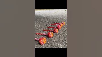 Crushing Crunchy & Soft Things by Car! EXPERIMENT Car vs lollipops #shorts #asmr #asmrsound