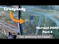 2020 Corn Harvest Part 4- Crazy Lady Hassles Silage Chopping Crew