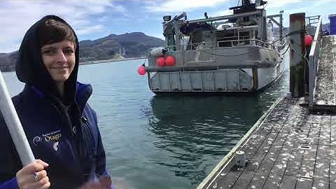 GTV2 2 2 Plankton - How do we Collect Samples and Data?