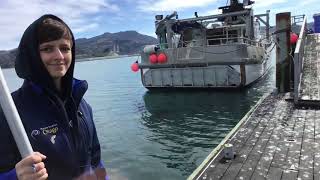 GTV2 2 2 Plankton - How do we Collect Samples and Data? Wealth