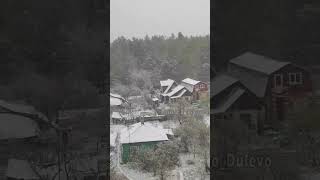 ❄ Ликино-Дулёво. Снегопад в мае. 7.05.2024.