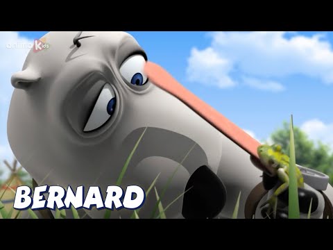 Bernard Bear | Boy Scout 2 AND MORE | Cartoons for Children | Full Episodes