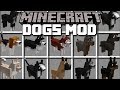 Minecraft PETS MOD / VILLAGERS GO SHOPPING FOR DOGS!! Minecraft