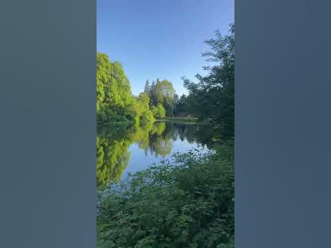 Carler Teich, ClausthalZellerfeld YouTube
