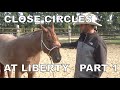 Close Circles at Liberty | Part 1