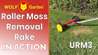Wolf Moss Removal Rake URM3