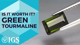 Is It Worth It? Green Tourmaline | IGS