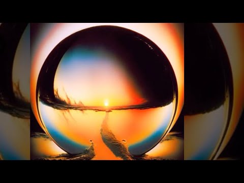 Cage The Elephant - Neon Pill (Official Video)