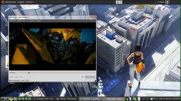 Escritorio Ubuntu 9.10 (compiz y emerald)