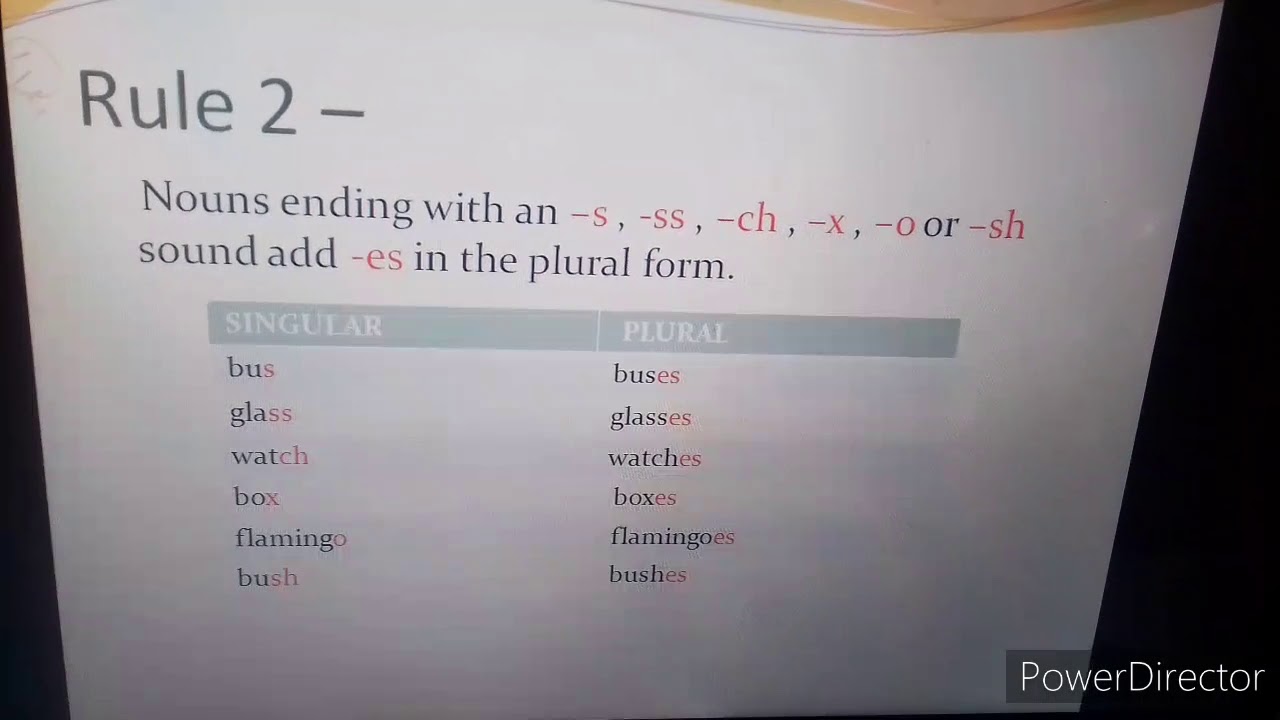 Chapter 3 Singular and plural nouns (class 3) - YouTube