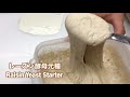 レーズン酵母元種の作り方(how to make raisin yeast starter)｜自家製酵母パンレシピ
