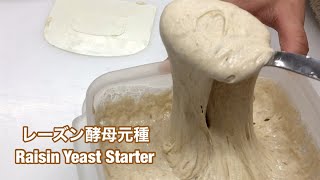 レーズン酵母元種の作り方(how to make raisin yeast starter)｜自家製酵母パンレシピ