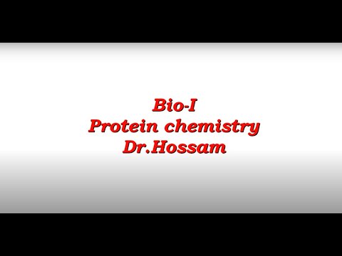 Protein chemistry (lecture 2)