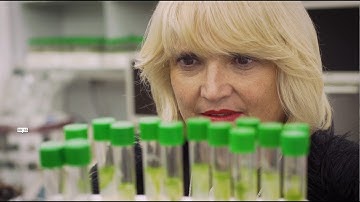 Hydrogen Made By Microalgae - BLOOM Videoseries