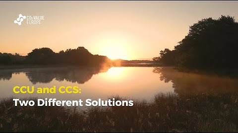 CCU and CCS: Two Different Solutions