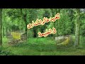 تغريد طائر الكناري في الطبيعة تغريد طائر الكناري في الطبيعة