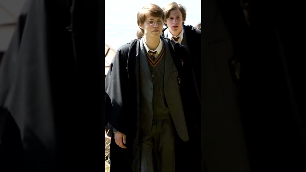 How the Marauders Animal Form Explains Their Personality (rat, dog, stag)