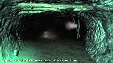 Penumbra part 2: Spiders in my Hair