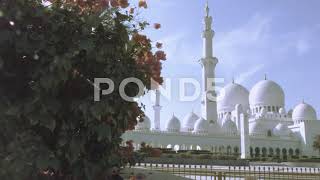 Tracking In Front Of Sheikh Zayed Mosque In Abu Dhabi