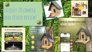 Juzjuly 2K Camera Bird Feeder Review showing high-definition2K resolution and AI bird identification