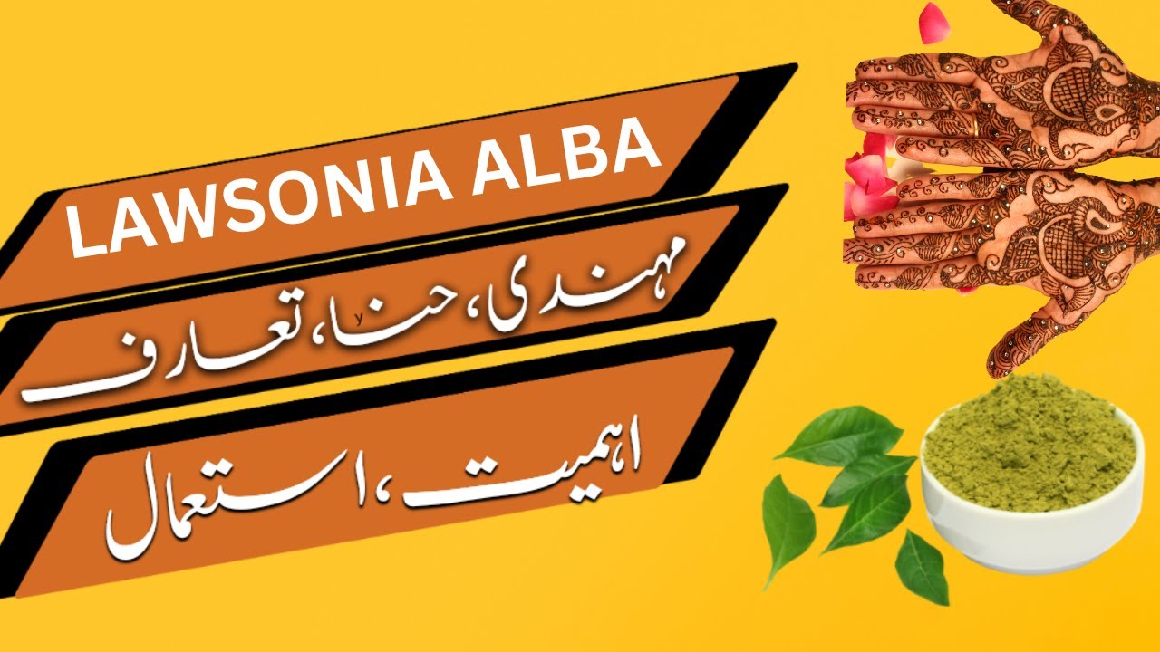 Health Benefits of Henna Urdu/Hindi Mehndi ke fayde LAWSONIA ALBA