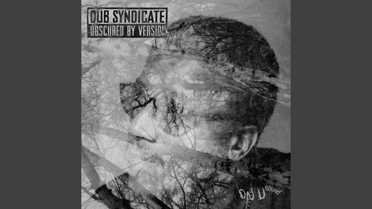 Dub Syndicate box set is essential listening