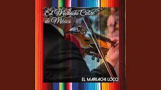 Video thumbnail of "El Mariachi Cobre de Mexico - La Coloreteada (Mariachi)"