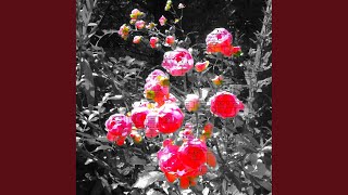 Download Lagu Bunga dari Surga I MP3