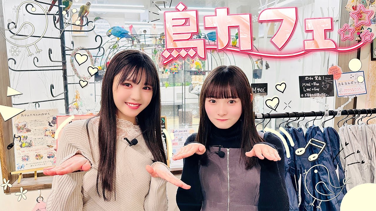 【癒やし回と思ったら】あゆみんが鳥カフェに連れて行ってくれました🐤【事件発生！？】