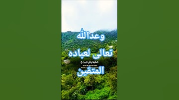 تلاوة خاشعة بصوت جميل ومؤثر #قران_كريم #قرآن #elmulquranعلم #المصحف #راحة_نفسية #تلاوة_هادئة