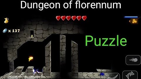Dungeon of florennum || Puzzle Solved || Swordigo