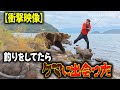 【衝撃映像】琵琶湖で釣りしたたらクマが出た!!!!!